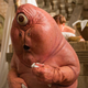 Illustration for article titled 13 Goofy Star Wars Aliens Who Deserve to Be Goofy Jedi